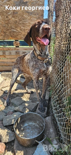 продава се , снимка 1