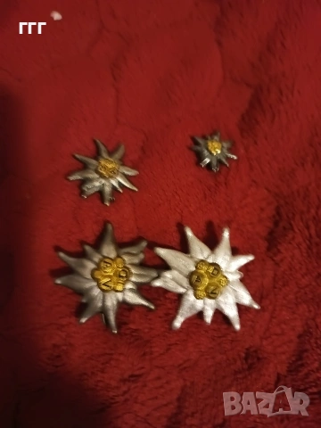 Вермахт планински части значки