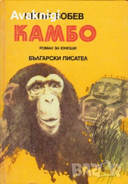 Камбо - Петър Бобев