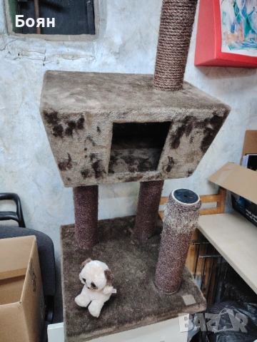 Катерушка за Коте