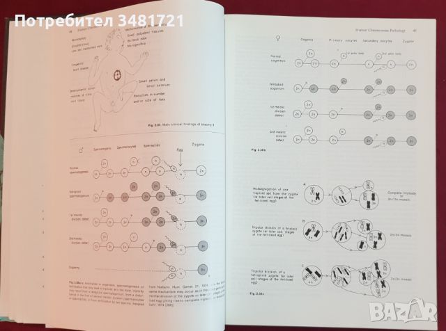 Човешката генетика - проблеми и подход / Human Genetics. Problems and Approaches, снимка 4 - Специализирана литература - 46215326