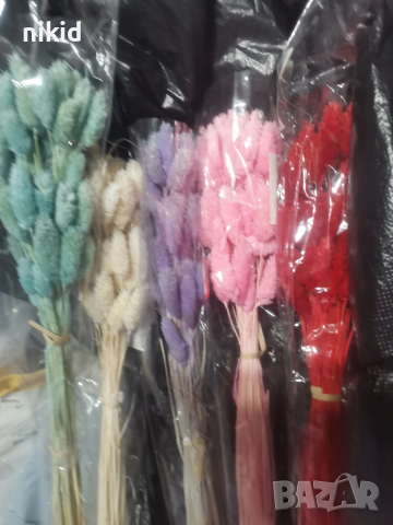 Сноп 10 бр сухи цветя декорация аранжиране ваза букет натурални заешка опашка пухче лагурус пухчета, снимка 6 - Изкуствени цветя - 43984470