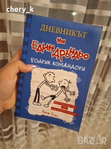 Дневникът на един дръндьо, Джеф Кини, снимка 4 - Художествена литература - 45608842