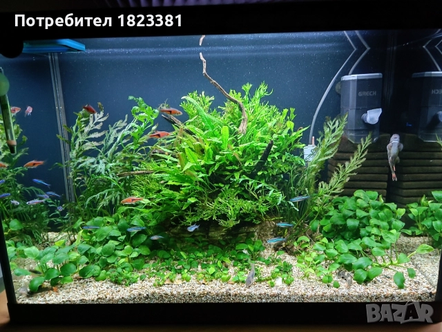 Напълно оборудван и работещ аквариум , снимка 12 - Аквариуми - 49185034