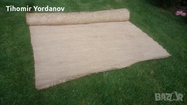 Рогозка.( царевична шума)., снимка 5 - Антикварни и старинни предмети - 50785820