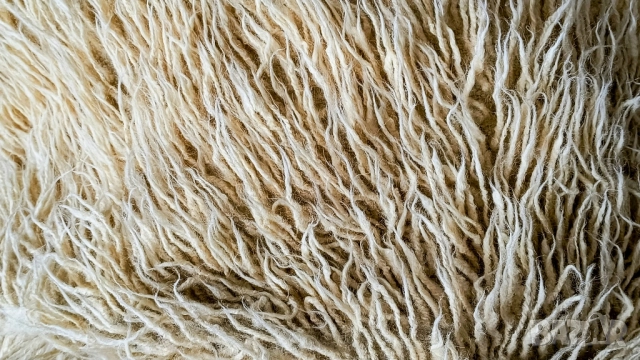 Вълнен Китеник / Покривало за Диван / Губер / Килим / Вълнена Постелка, снимка 7 - Други - 52018403