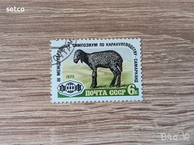 СССР Фауна животни овца 1975 г., снимка 1 - Филателия - 46294093