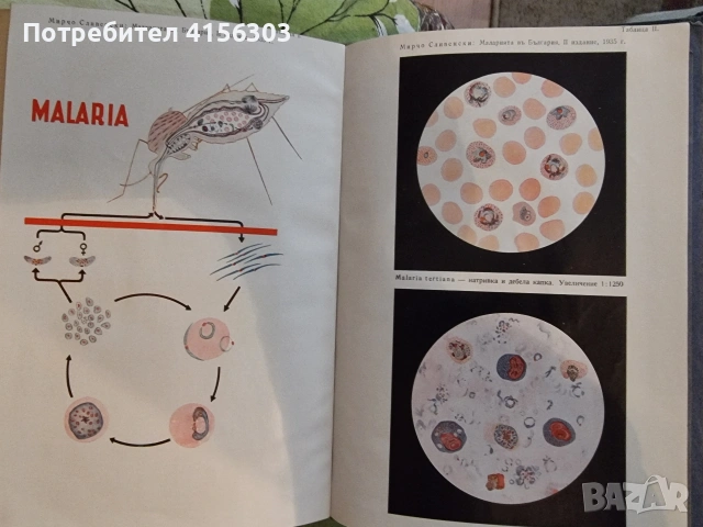 Минерални извори в България. 1930, снимка 8 - Специализирана литература - 53723630