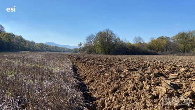 Евтина земя до Провадия - Дългопол, обл. Варна, снимка 4 - Земеделска земя - 53720204