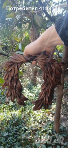 Пано венец ръчна дърворезба