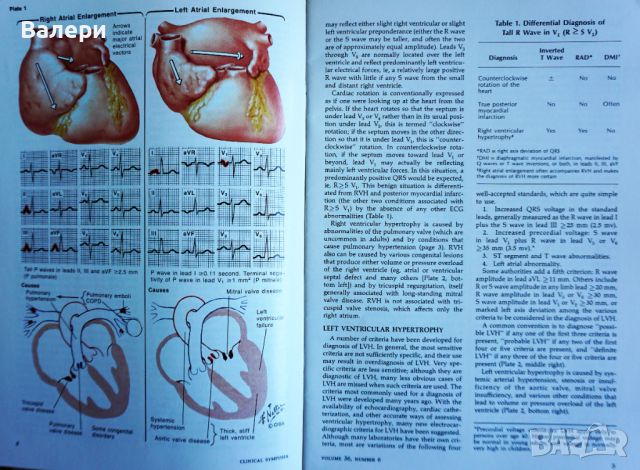 Книги по медицина - Кардиология, снимка 4 - Специализирана литература - 45208373