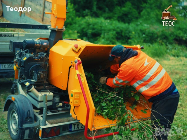 Косене не трева - отстраняване и извозване на растителност, снимка 3 - Хамалски услуги - 51241056