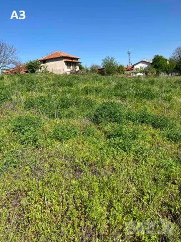 Продавам парцел в село Стамболийски, област Хасково, снимка 2 - Парцели - 50131042