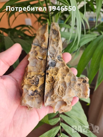 Ахат, снимка 2 - Колекции - 53665456