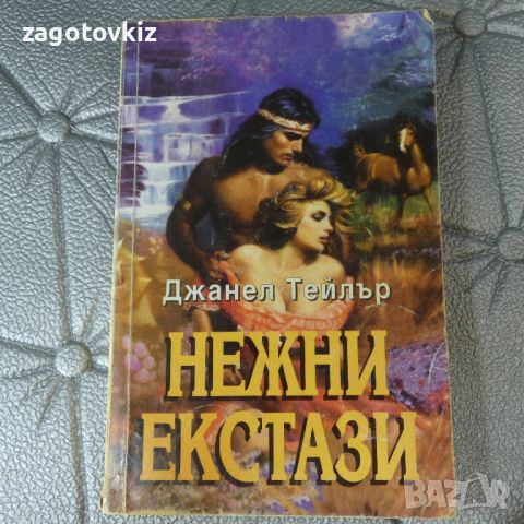 Нежни екстази Джанел Тейлър , снимка 1 - Художествена литература - 46539943