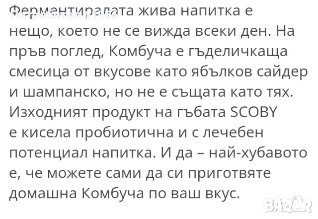 Лечебна гъба камбуча , снимка 4 - Други стоки за дома - 49632746