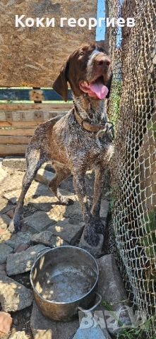 продава се , снимка 1