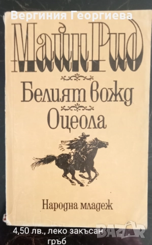 Робинзон Крузо, Гъливер, Оцеола, Капитан Немо и други , снимка 5 - Художествена литература - 51853794