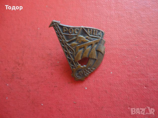 Бронзов знак значка на винт  Росица , снимка 5 - Колекции - 46393879