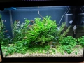 Напълно оборудван и работещ аквариум , снимка 12