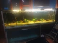 Продавам Аквариуми , снимка 1