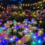 Соларна декорация "Екзотична градина": LED медузи и гъбки с преливащи цветове 4985, снимка 7