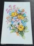 Старо календарче 86г. серия ЦВЕТЯ много красиво за КОЛЕКЦИЯ ДЕКОРАЦИЯ 35329, снимка 3