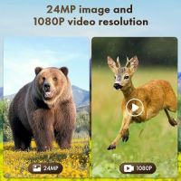 Нова Камера за Дива Природа 1080p 24MP с 120° Засичане и Соларно Зареждане, снимка 3 - IP камери - 45464342