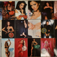76 календарчета на Пайнер 2006-2024 година, снимка 1 - Колекции - 45056094