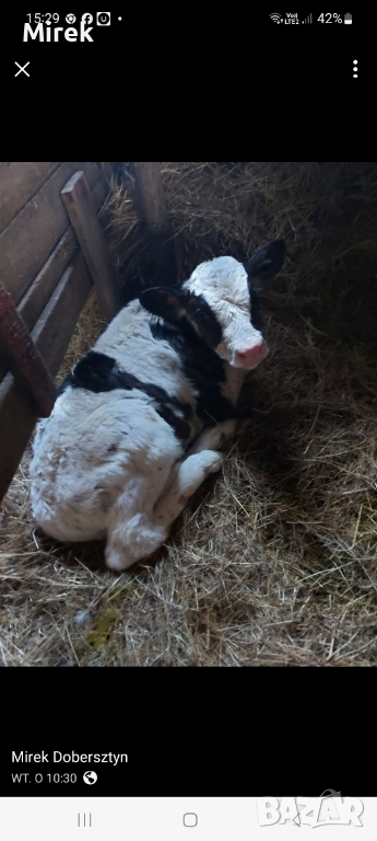 откраднат, снимка 1