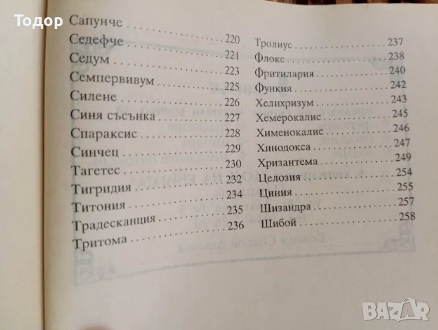  Цветя в градината Автор: Анка Дончева, снимка 6 - Други - 40613015