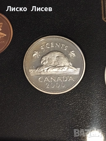 Канада сет мат-гланц 2000г., снимка 14 - Нумизматика и бонистика - 54289831