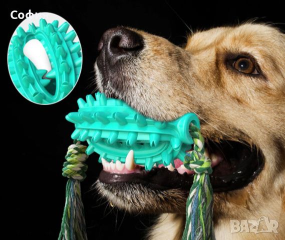 Играчка кактус – четка за зъби за домашни любимци, снимка 9 - За кучета - 45731658