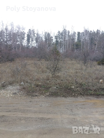 Продажба , снимка 11 - Парцели - 52964958