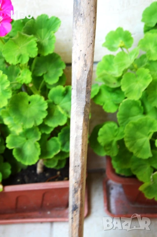 Примитивна дървена лопата за хляб/пица, снимка 8 - Антикварни и старинни предмети - 53814354