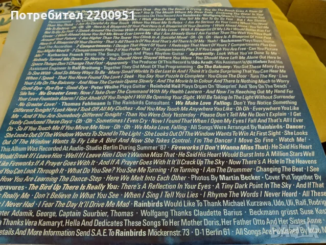 RAINBIRDS, снимка 6 - Грамофонни плочи - 49758973