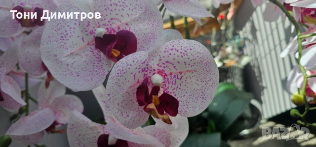 ИЗКУСТВЕНО РАСТЕНИЕ ОРХИДЕЯ 70CM, снимка 5 - Стайни растения - 54052160