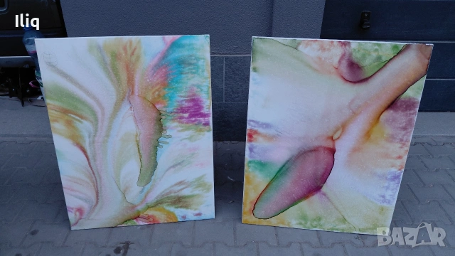 картини 2бр. 