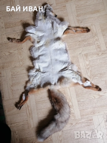 КОЖА ОТ ЛИСИЦА , снимка 9 - Други животни - 52121490