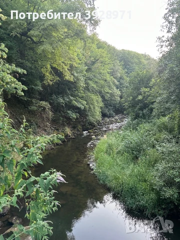 Психолог- консултант, снимка 2 - Други услуги - 51141401