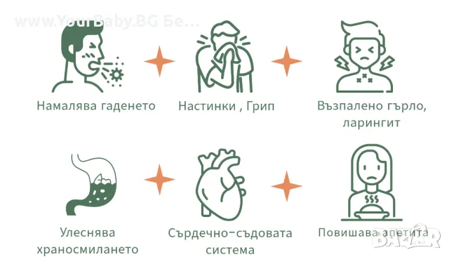 Oilo БИО Етерично Масло от Кора от Канела (Cinnamon Bark) - Cinnamon Oilo 5 мл., снимка 12 - Други - 49721571