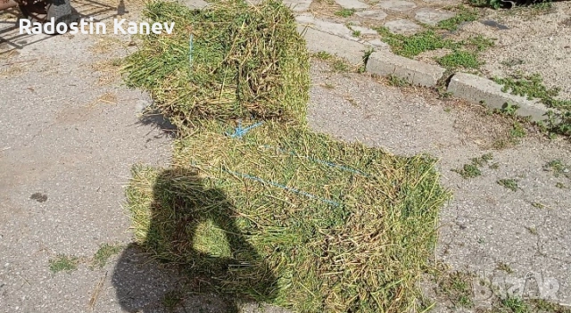 Бали люцерна супер качество и сено , снимка 2 - За селскостопански - 52469769