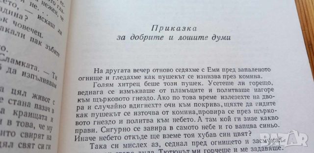 Невероятните пътешествия на Иван Прасето и Кирчо Сламката Роман за деца Владимир Голев, снимка 6 - Детски книжки - 46778465