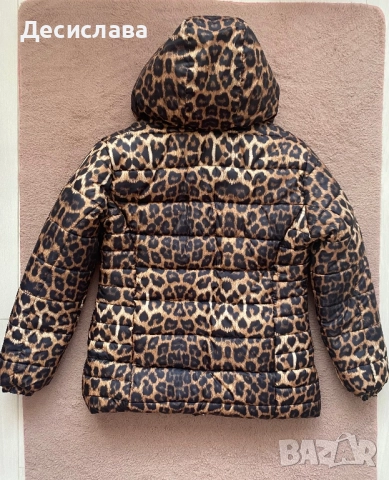 Зимни якета XS, снимка 8 - Якета - 52278597