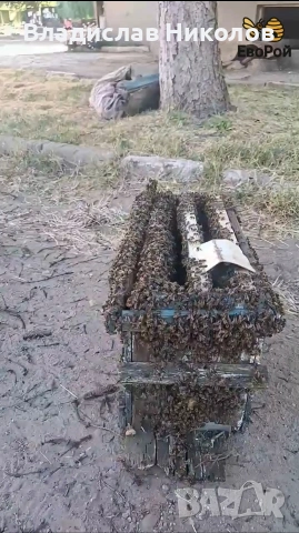 ЕвоРой - примамка за пчелни рояци, снимка 2 - За пчели - 45206919