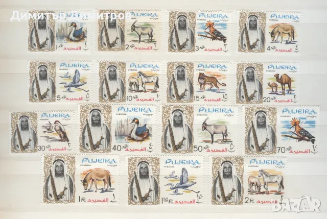 Фуджейра - "Фауна" серия  чиста