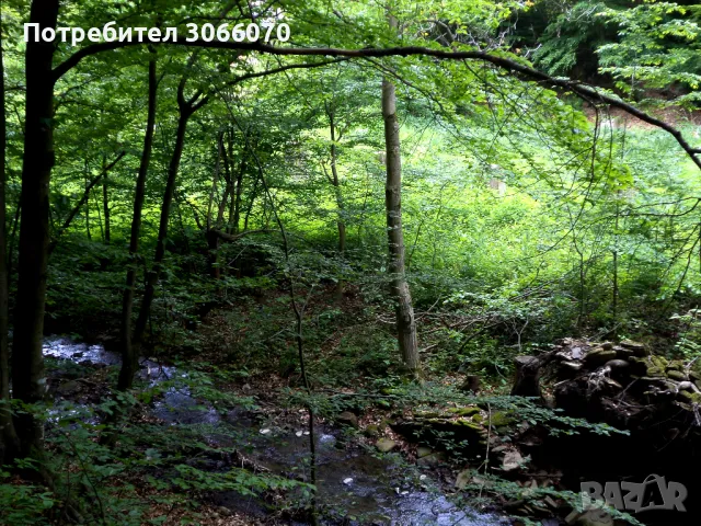 Продавам имот до река, снимка 5 - Къщи - 50265257