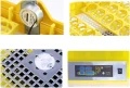 Напълно автоматичен инкубатор за 48 яйца 80W YZ8-48, снимка 3