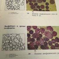 Болезни крови у детей -Атлас, снимка 9 - Специализирана литература - 45300488