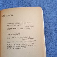 Александър Пушкин - Капитанската дъщеря , снимка 8 - Художествена литература - 45262400